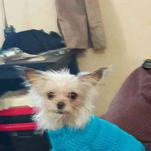 Meet your Posher, Crystal